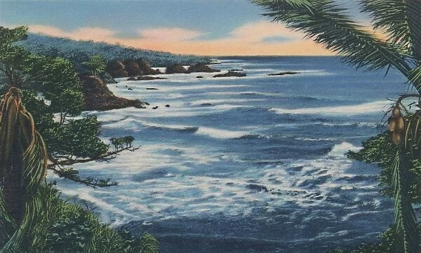 North Coast, Trinidad, B. W. I. c1940s. Creator: Unknown