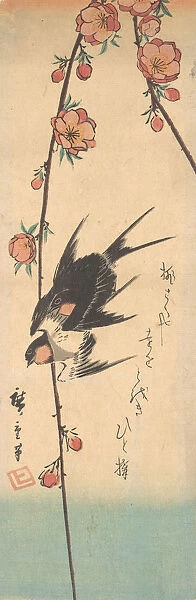 Pear Blossoms and Swallows, ca. 1840. ca. 1840. Creator: Ando Hiroshige