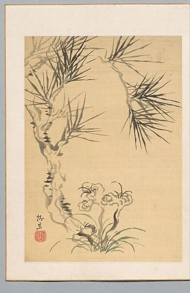 Pine Tree and Fungus, 19th century. Creator: Tsubaki Chinzan (Japanese, 1801-1854)