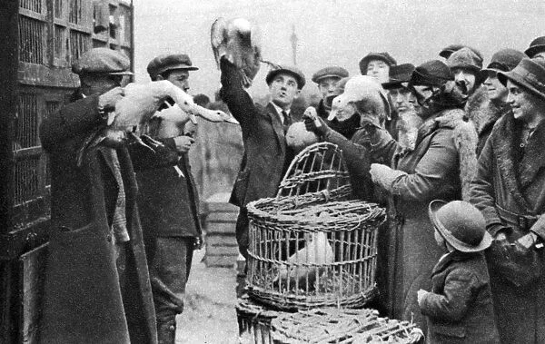 Poultry merchants, Caledonian Market, London, 1926-1927