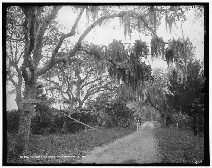 Framed Print : Print of a dirt road in Ormond Framed Print : Print of a dirt road in Ormond