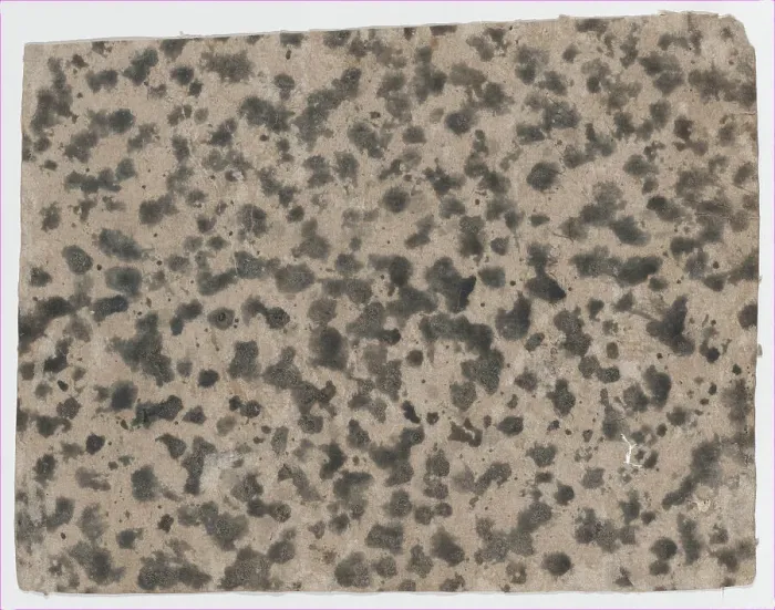 Framed Print : Splotchy Pattern Print, 19th century
