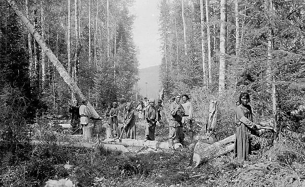 Shoria Men and Women Working on Cutting in the Woods, 1913. Creator: GI Ivanov