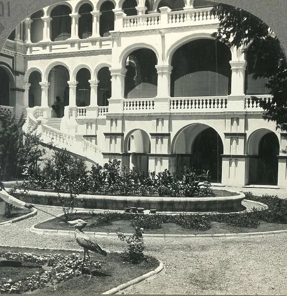 Sirdars Palace (Site of General Gordons Death) and Shoebill Stork, Khartoum, c1930s