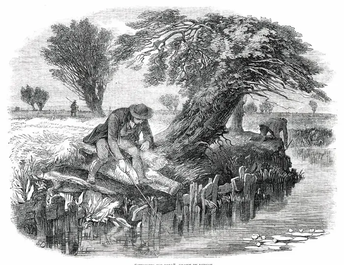 Framed Print : Eel Sniggling - Print, 1850 Framed Print : Eel Sniggling - Print, 1850