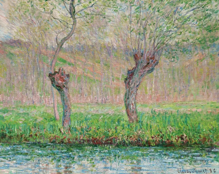 Framed Print : Print of a serene landscape featuring willows in bloom Framed Print : Print of a serene landscape featuring willows in bloom
