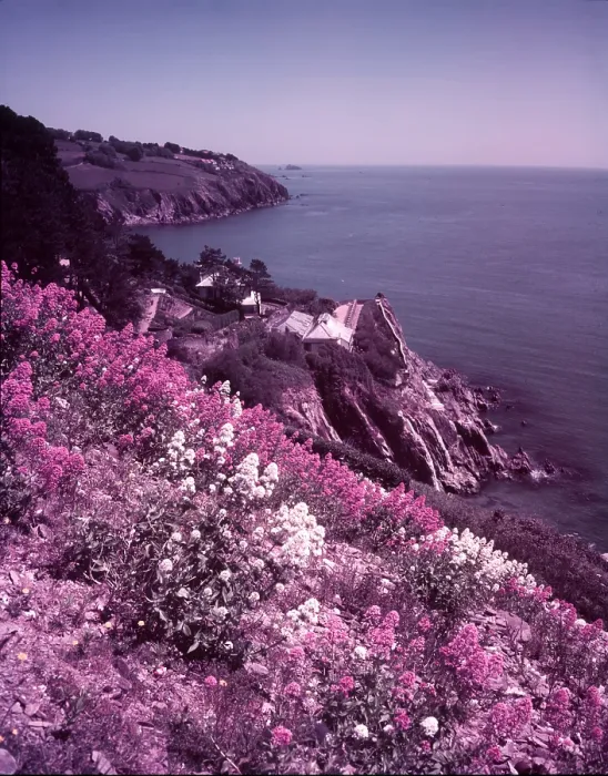 Framed Print : Start Bay Print, Devon Coast Scene Framed Print : Start Bay Print, Devon Coast Scene