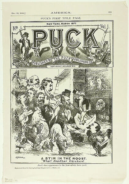 A Stir in the Roost... published December 12, 1889, originally published in Puck on March 18, 1876. Creator: Joseph Keppler