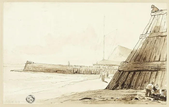 Framed Print : Stockade Print along Shore Framed Print : Stockade Print along Shore