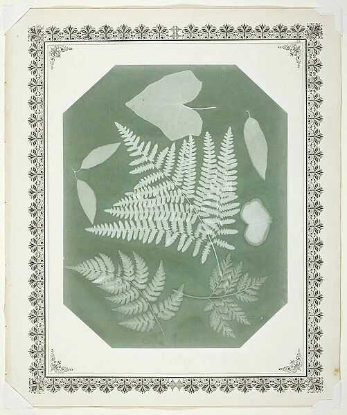 Study of Leaves, 1877. Creator: Amelia Bergner