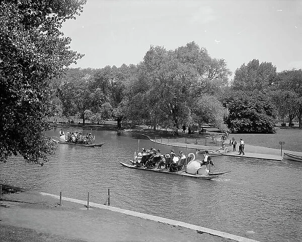 Swan boats, Public Gardens, Boston, Mass. between 1900 and 1906. Creator: Unknown