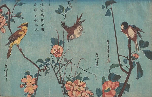 Titmouse and Camellias (right), Sparrow and Wild Roses (center), and Black-naped Oriol... ca. 1833. Creator: Ando Hiroshige