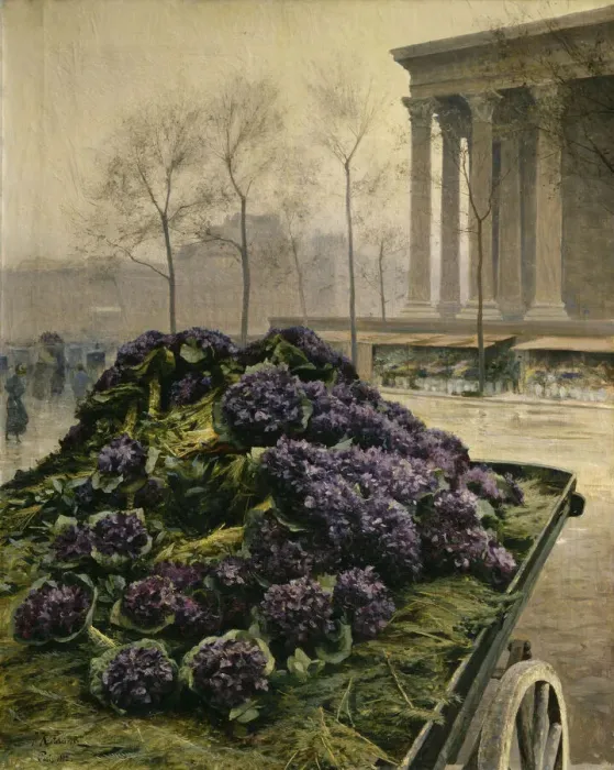 Framed Print : Violets from Nice Print, 1902 Framed Print : Violets from Nice Print, 1902