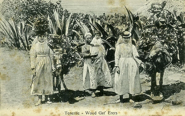 Wood gatherers, Tenerife, Canary Islands, early 20th century(?)
