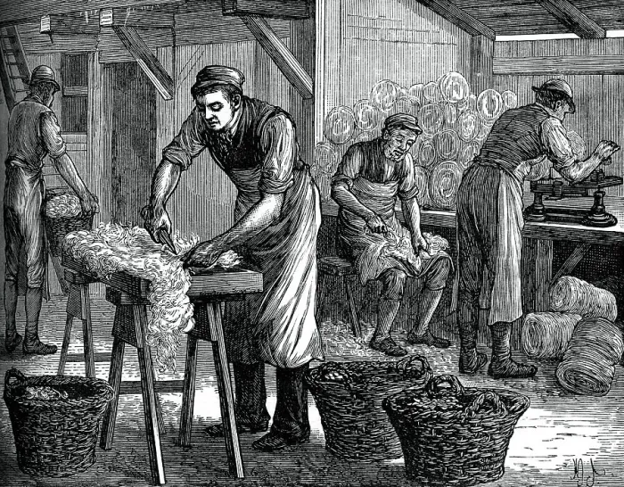 Framed Print : Wool Sorters Print, c1880 Framed Print : Wool Sorters Print, c1880