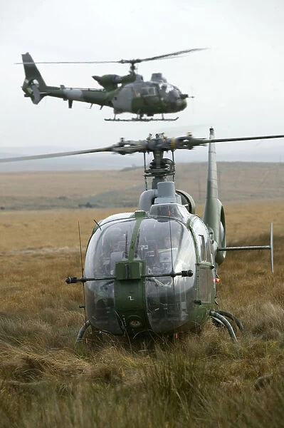 Army Gazelle helicopters carrying trainee Forward Air Controllers (FACs) at RAF Spadeadam