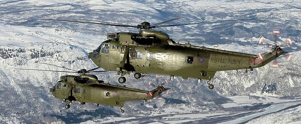 Royal Navy Seaking Mk4 Helicopters Over Northern Norway