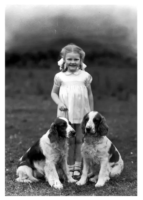 Framed Print : Fall Print: Young Girl with Two Welsh Springer Spaniels Framed Print : Fall Print: Young Girl with Two Welsh Springer Spaniels