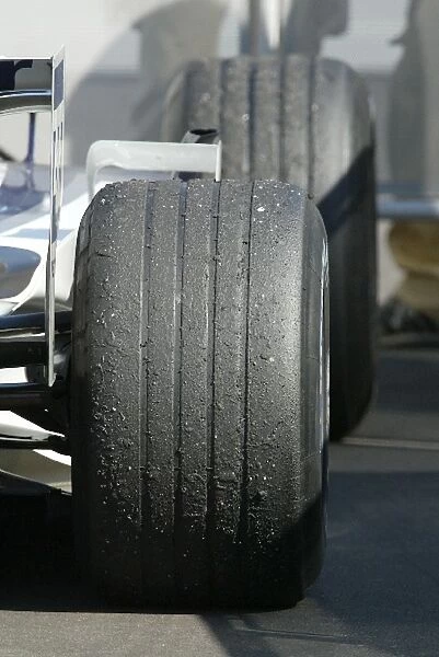 Formula One World Championship: Very worn tyres on the Williams
