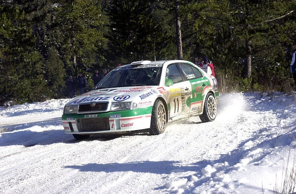 Schwarz3. 2001 World Rally Championship.
