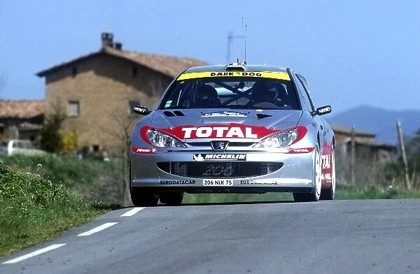 World Rally Championshio: Didier Auriol Peugeot 206 WRC - Winner