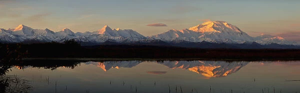 Alpenglow On Mt. Mckinley, Also Known As Denali, Reflected In Tundra Pond At Sunrise, Fall, Denali National Park, Interior Alaska, Usa