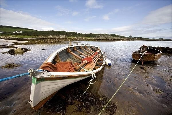 Ardminish, Isle Of Gigha, Scotland; Rowboats Tied To Shore