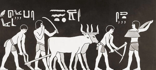 Artwork, Sowing and ploughing in ancient Egypt, from a contemporary print, c. 1935; Artwork