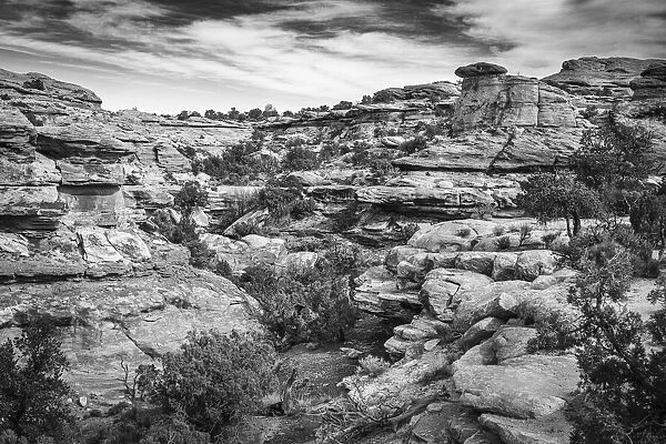 Black and white image of wonderful geology exposed at Big Spring Canyon in the Canyonlands National Park; Moab, Utah, United States of America
