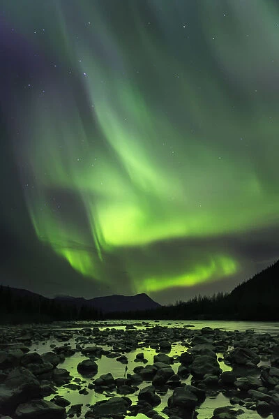 A Bright Aurora Engulfs The Northern Skies Over Portage River; Alaska, United States Of America