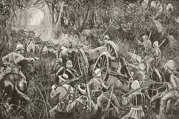 British Troops Force A Line Of Artillery Pieces Drawn By Oxen Teams Through The Bush During The First Boer War. From Afrika, Dets Opdagelse, Erobring Og Kolonisation, Published In Copenhagen, 1901