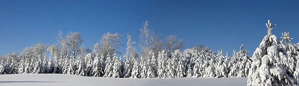 Canadian Winter Panorama; Foster Quebec Canada