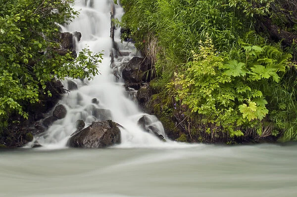 A Cascading Waterfall Flows Into Granite Creek, Turnagain Pass, Chugach National Forest, Summer