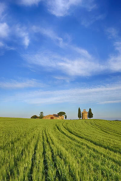 Chapel of Vitaleta and Farmhouse with Cypress Trees in green field. Chapel of Vitaleta, Val d┼¢Orcia, Siena Province, Tuscany, Italy