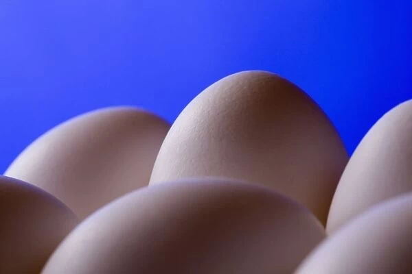 Close-Up Eggs Against Blue Background