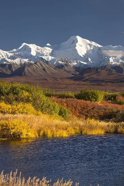 Denali National Park Road On A Beautiful Day In Autumn With The Foliage In Autumn Colours And The Rugged, Snow-Covered Mountain Peaks, Denali National Park; Alaska, United States Of Ameica