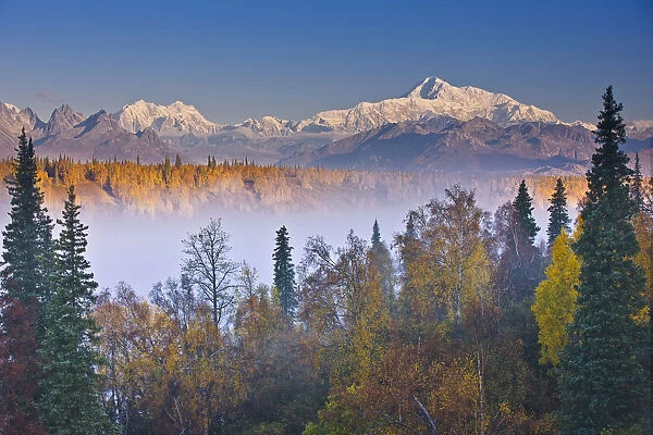 The Early Morning Sun Lights Up Mount Mckinley, And The Alaska Range As Fog Covers The Chulitna River Valley, Photographed From The Denali South Overlook Along The Parks Highway In Denali State Park, Fall Foliage, Alaska, Usa