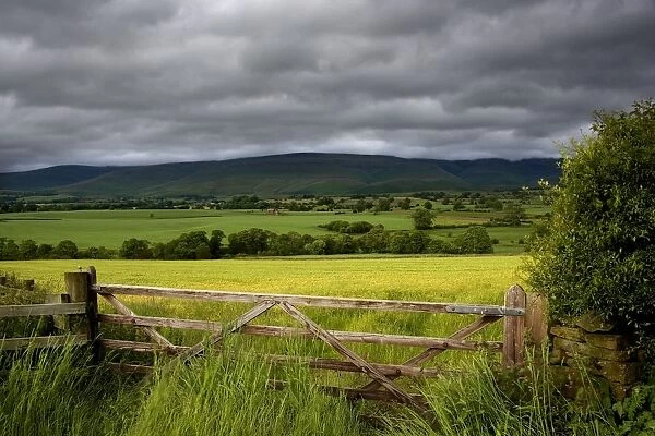 Field, Cumbria, England