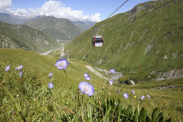 Flowers bloom in summer underneath a ski lift that brings people to Gudauri ski resort, Georgia