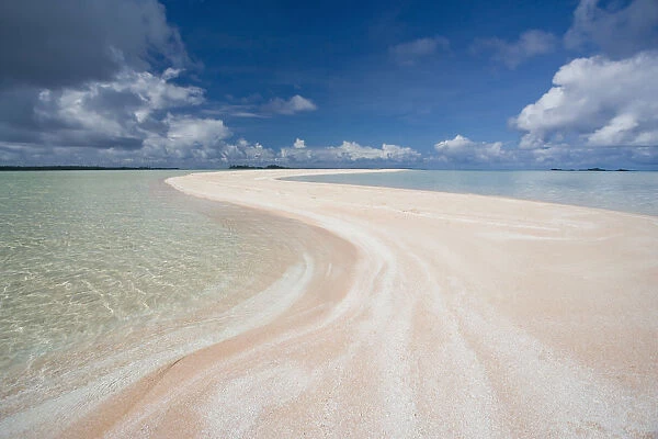 French Polynesia, Tahiti, Rangiroa, Pink Sands Beach