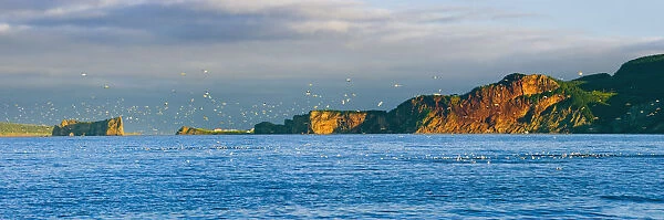 Gannets In Flight And Perce Rock At Sunset From Barachois, Gaspesie, Quebec