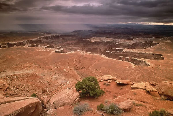 Grand View Point Overlook Canyonlands National Park Utah, USA