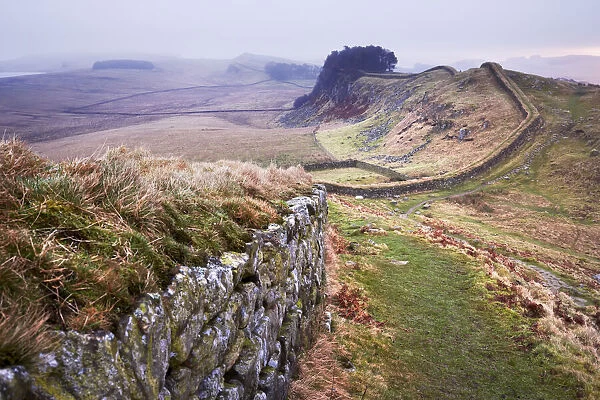 Hadrians Wall, Northumberland, England, United Kingdom