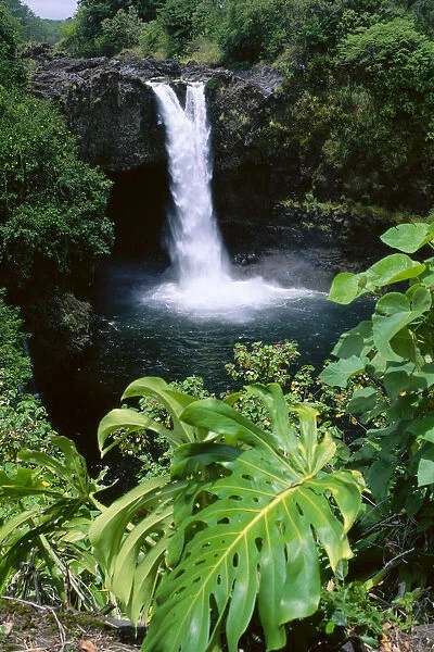 Hawaii, Big Island, Hilo, Rainbow Falls State Park, Greenery Surrounds Waterfall