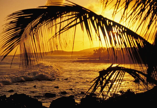 Hawaii, Kauai, Poipu, Tropical Sunset With Palm Fronds