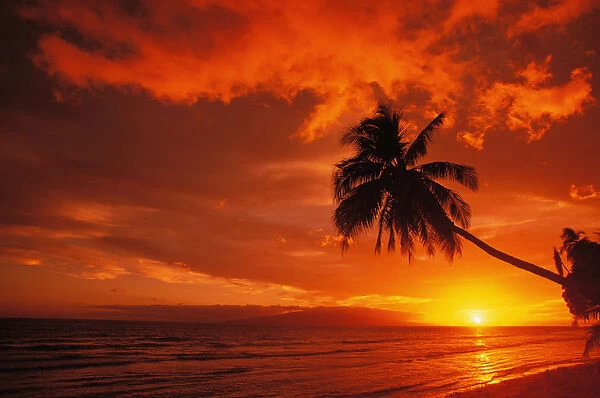 Hawaii, Maui, A Beautiful Sunset At Olowalu
