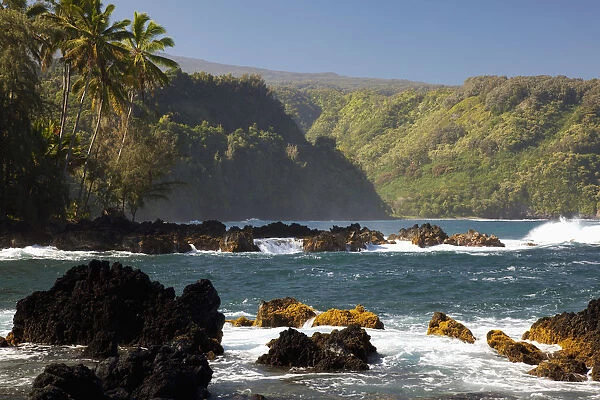 Hawaii, Maui, Keanae Peninsula, Ocean and palm trees