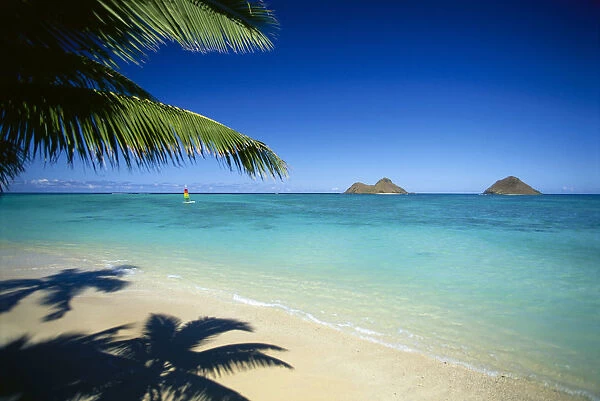 Hawaii, Oahu, Lanikai Beach, Hobie Cat Sailing Near Mokulua Islands, Palms C1554