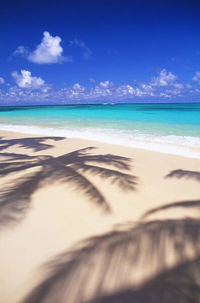 Hawaii, Oahu, Lanikai, Tropical Beach Scene With Palm Shadow On Shoreline Sand