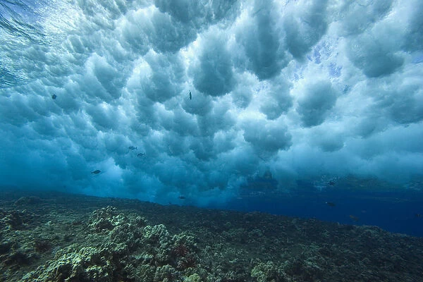 Hawaii, Underwater View Of Wave Breaking Over Shallow Reef
